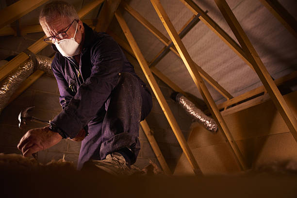 Best Geographic-Specific Insulation Services in East Northport, NY